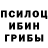Галлюциногенные грибы Psilocybine cubensis Irada Valiyeva