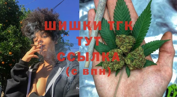 мдпв Богородицк