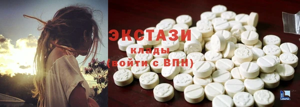 мдпв Богородицк