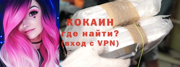 мдпв Богородицк