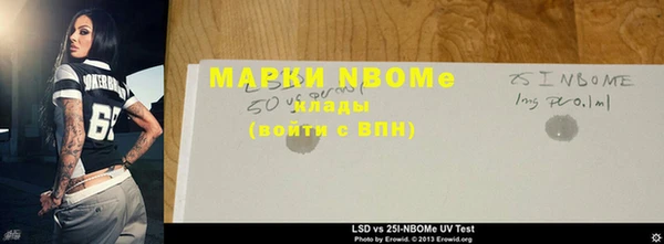 мдпв Богородицк