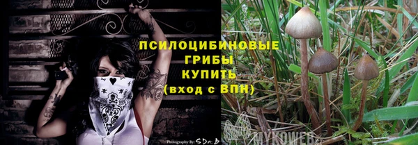 дурь Кодинск