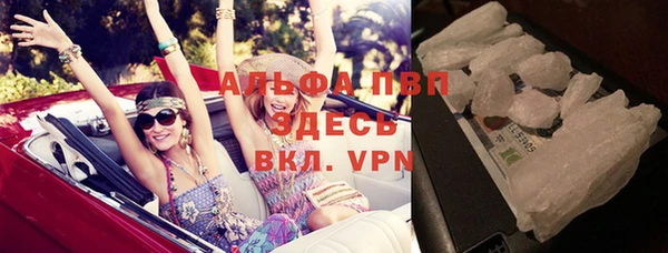 прущие грибы Козельск