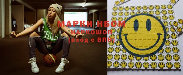 мдпв Богородицк